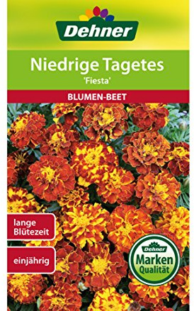 Dehner – saatg Blommor UT
