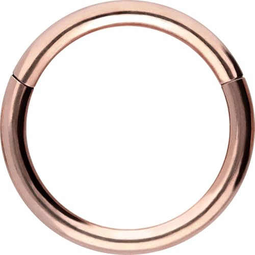 PIERCINGLINE Segmentring Clicker aus Chirurgenstahl - Piercing Ring in Gold, Silber, Rose, Schwarz oder Blau - für Nase, Septum, Ohr, Helix oder Tragus