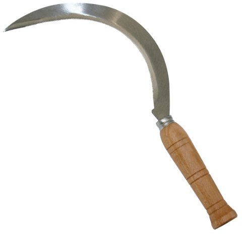 Falciola dentata manico in legno cm. 25, prodotto italiano