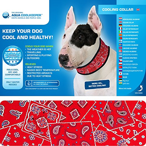 Cooling Collar Red Western for Dogs Size XL 44-55 cm x 7 cm