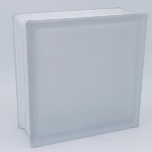 5 pièce FUCHS briques de verre vue complète incolore 2 face satinée 19x19x8 cm