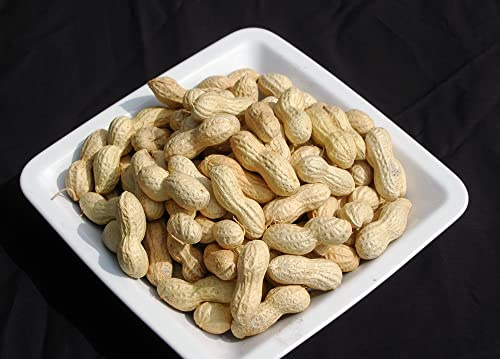 Naturix24 – Erdnüsse in der Schale nicht geröstet – 1 Kg Beutel