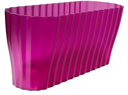 Plastia 1909203846 Orchidée Boîte Triola Transparent