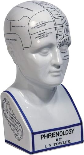 Phrenology Head/ Large/ 12 Inch Quality Ceramic /New