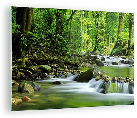Vidrios decorativos Stream Bosque Naturaleza Cuadro Sobre Vidrio Moderno 70x50cm Decoracion Salon Dormitorio Cocina Cuadros Pared Impresiones Impresión en Cristal Wall Art Prints Decor GAA70x50-0174