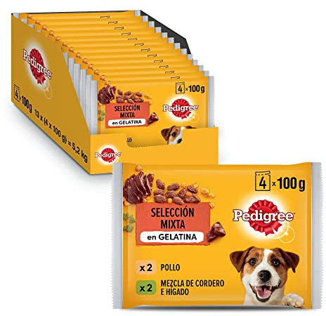 PEDIGREE Pouch Chicken & Lamb in Jelly - Wet Food for Adult Dogs - 13 multipacks of 4x100g Bags