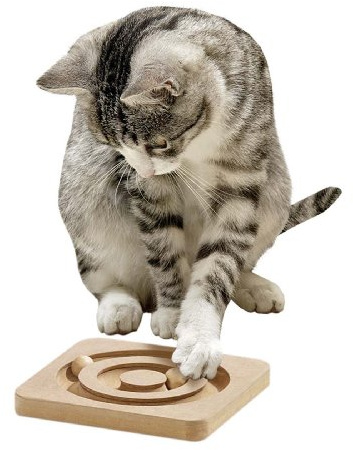 Karlie Kitty Brain Train Cirkel L: 19 cm B: 19 cm H: 2 cm