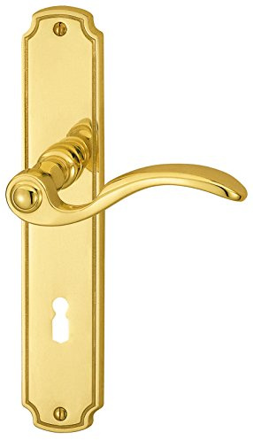 ALPERTEC Rica Long Plate Door Fittings Door Handle Latch Door Handles on Backplate (1 Piece, 32410010