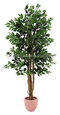 Konstgjord Ficus Benjamini med 3 naturstammar och 1008 grönvita blad, 180 cm hög – konstträd, björkfil med äkta trästammar