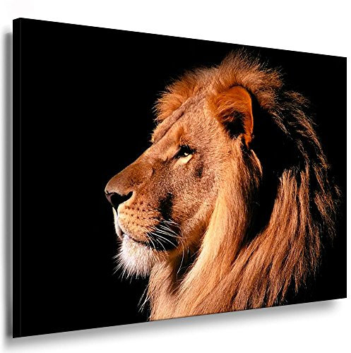 Fotoleinwand24 - Tiere Abstrakt Löwe / AA0054 / Fotoleinwand auf Keilrahmen/Farbig / 120x80 cm