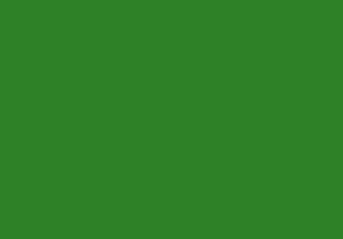 Tonkarton - Tonpapier - Tonzeichenpapier - 100 Blatt DIN A3-160g/m² Farbe: Dublin-dunkelgrün