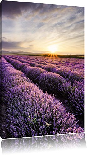 Pixxprint Traumhafte Lavendel Provence, Größe: 80x60cm, Leinwandbild, fertig gespannt, Wandbild, Dekoration, Kunstdruck, kein Poster