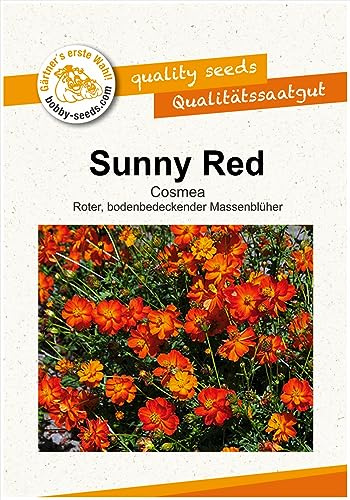 Blumensamen Sunny Red Cosmee Portion