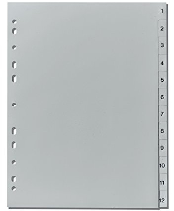 herlitz Register A4 1-12, Grau, 23 x 29,7 cm, Kunststoff, Eurolochung