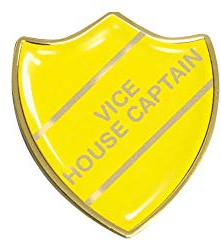 Vice House Captain Gel Domed School Shield Badge