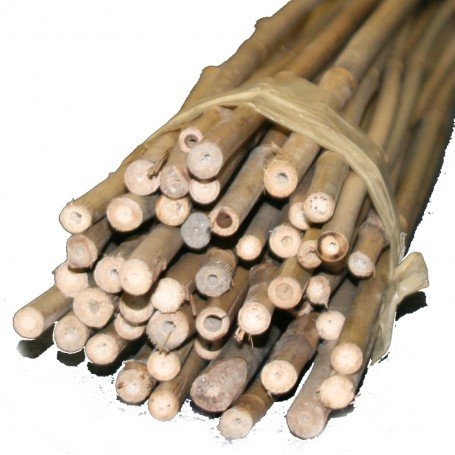 Bambus-Stäbe 90cm, Ø 9-12mm (50)