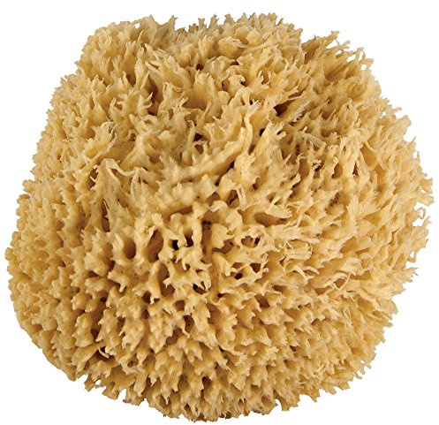 JUST Whoa. Ultra Soft & Really Big Sea Wool Bath Sponge