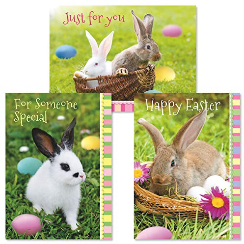 Current Photo Bunny Easter Greeting Value Card Set - Value Pack of 12 Cards for Kids & Adults With White Envelopes, 12 Design Prints, Large 5 x 7 Greetings