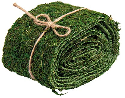 Rayher 5531800 Moosband, 10 cm breit, 200 cm lang