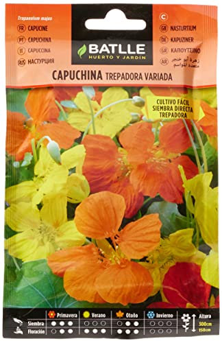 Battle- Semi di Fiori, nasturzio Assortito