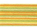 Anchor Sticktwist 1x Farbe: 1304 - Multicolor