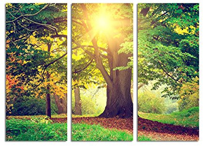 130x90cm – Keilrahmenbild Park Sonnenstrahlen Baum angestrahlt 3teiliges Wandbild auf Leinwand und Keilrahmen - Fotobild Kunstdruck Artprint