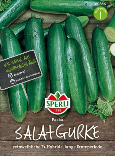 Sperli Salatgurke Paska F1