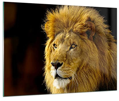 ARTTOR Glasbild 100x70cm Wandbild Glasdruck Natur Tiere - 1237 | Löwe Groß Modern Dekoration Wohnzimmer Schlafzimmer Küche Wanddeko Kunstdruck Art Wall Decor ARTTOR