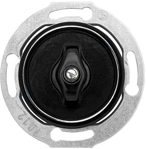 THPG Kombi-UP-Dreh-Jalousie-Schaltereinsatz, 10A/250V, Bakelit s
