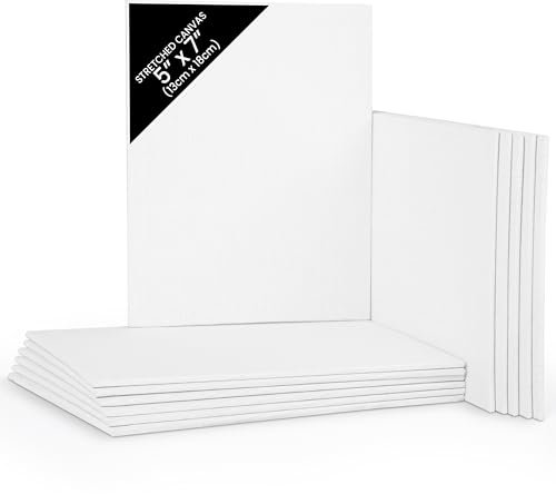 BELLE VOUS Leinwand zum Bemalen (12 Stück) – 13 x 18 cm – kleine vorgedehnte leere Leinwand – ideal für Ölmalerei, Acryl und zum Zeichnen und Skizzieren