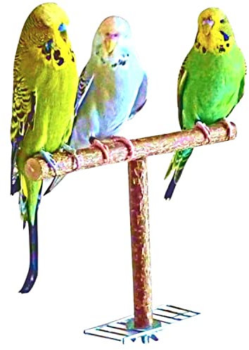 Vogelgaleria® Anflughilfe/Anflugstange für den Vogelkäfig oder die Voliere. Tolles, handgemachtes Vogelzubehör aus bestem Naturholz