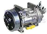 DELPHI TSP0159851 Compresseur de clim Sanden SD6V12 PAG 46 Compatible avec FIAT Qubo 225, PEUGEOT 206 3/5 portes 2A/C 307 3/5 portes 3A/C 206+ 3/5 portes 2L, 2M Partner I Van 5, G 206 CC 2D