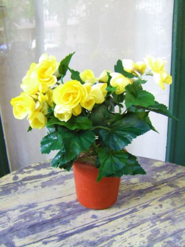 TOMENGBEIAABBCC HORLAT Licht & Grün Künstliche Begonie, gelb, 2 Stück, sehr dekorativ