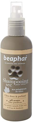 BEAPHAR Ultraweiches Hundeshampoo Trockenshampoo - Natürliche Aloe Vera Extrakte und Himbeerwasser - Kräftigt und gibt dem Haar Glanz - gebrauchsfertig, ohne Ausspülen - 200 ml