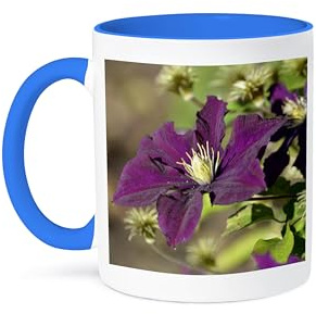 3dRose Garden Flowers - Purple Clematis - Inspired Floral Print 11oz Two-Tone Blue Mug