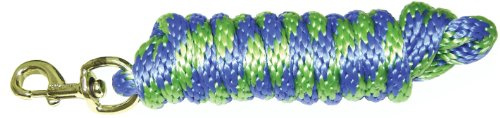 Hamilton Poly-Leine mit Bolzenverschluss, beerenblau/limettengrün gestreiftes Muster, 1,6 cm dick x 3 m lang