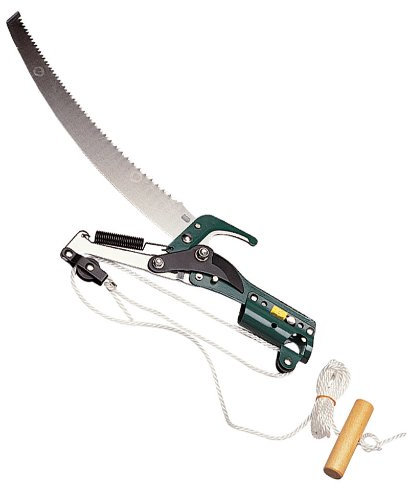 Papillon 83657 Svettatoio a Pertica Senza Manico, Verde/Nero