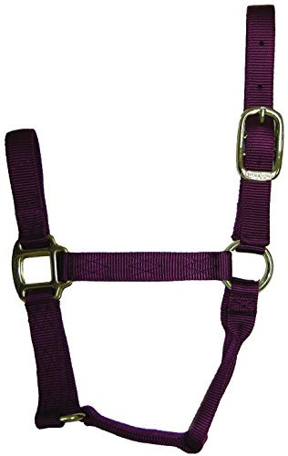 Hamilton Halfter aus Nylon, 2,5 cm, Large, 1100-1600 pounds, Wein