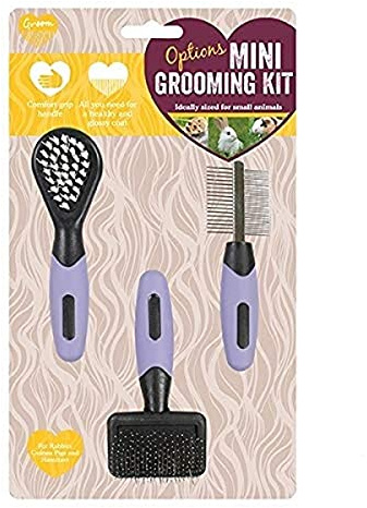Alternativ för rosenträ SA MINI GROOMING SET