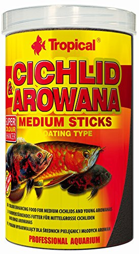 Tropical Cichlid & Arowana Medium Sticks - Farbverstärkende Futtersticks mit Astaxanthin, 1er Pack (1 x 1 l), 55 ml (1er Pack)