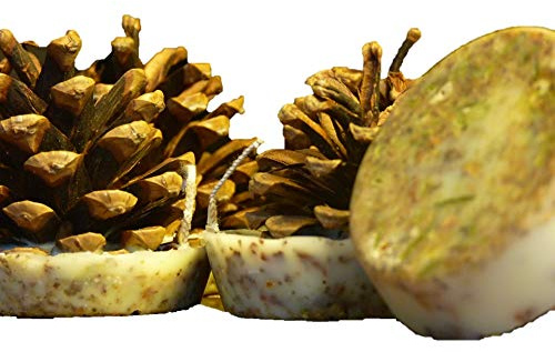 Kindlecone - Natural pine cone firelighters - Winter Spice - Box of 6