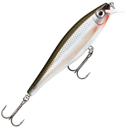 Rapala BX Minnow 10 Angelköder