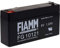 FIAMM Batteria ricaricabile al piombo FG10121, 6V, Lead-Acid