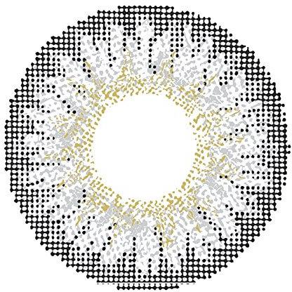 Matlens - Pro Trend Farbige Kontaktlinsen ohne Stärke natürlich grau gray TriColor circle lens Big Eyes GPW-351 2 Linsen 1 Kontaktlinsenbehälter 1 Pflegemittel 50ml