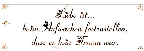 Metallschild Schild LIEBE IST Geschenk Hochzeit Deko Shabby Blechschild Dekoschild