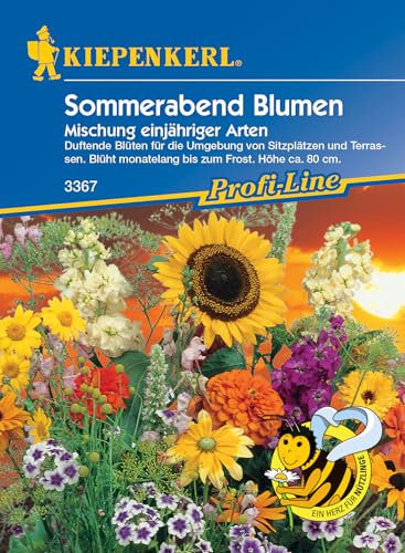 Kiepenkerl Profi-Line Blumensamen-Mischung Sommerabend Blumen 3367 - Duftende Blüten - Monatelange Blütezeit - Höhe ca. 80 cm - Blumenwiese, Saatgut