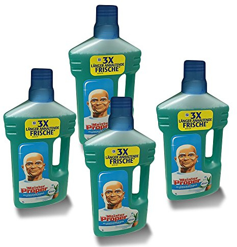 Meister Proper Frühlingserwachen 1L, 4er Pack (4 x 1 l)