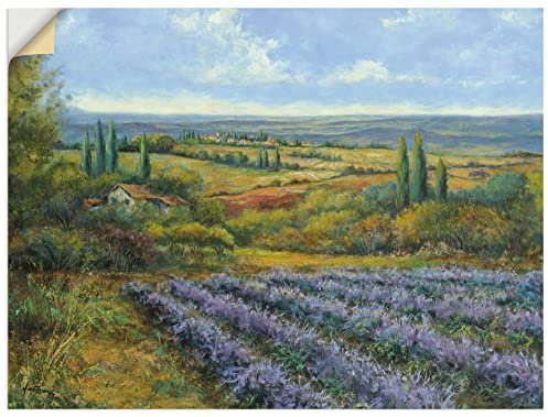 ARTland Wanddeko Wandtattoo selbstklebende Vinylfolie 120x90 cm Provance Landschaften Europa T4CW