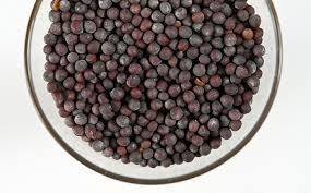 Black Mustard Seeds - 100g