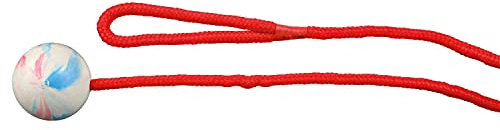 Trixie Ball mit Seil, Naturkautschuk, Ø 5 cm, 1,00 m, Hund, 3304